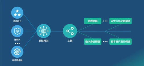 未来网络的关键技术 网络技术开发的星辰大海